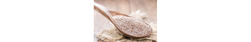 PSYLLIUM HUSK-SKOROCEL INDICKÝ