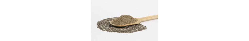 PALEO MÚKY A SEMENÁ PALEO MÚKY A SEMENÁ